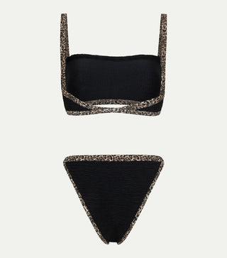 Paramidonna - Ava Black
