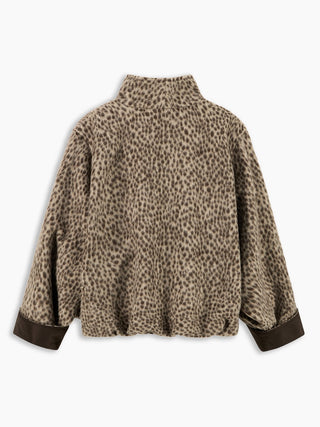 8PM - Primrose Bomber