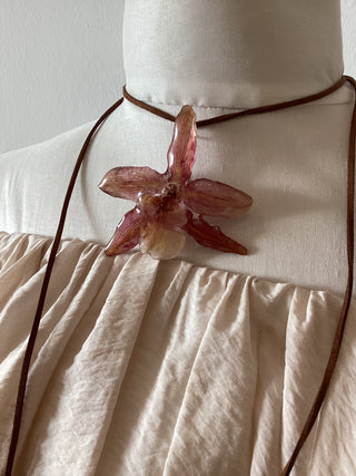 Orkhira - Cambria orchid