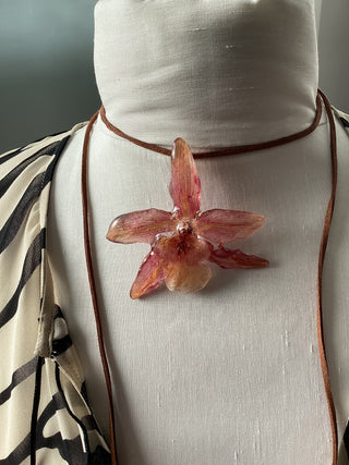 Orkhira - Cambria orchid